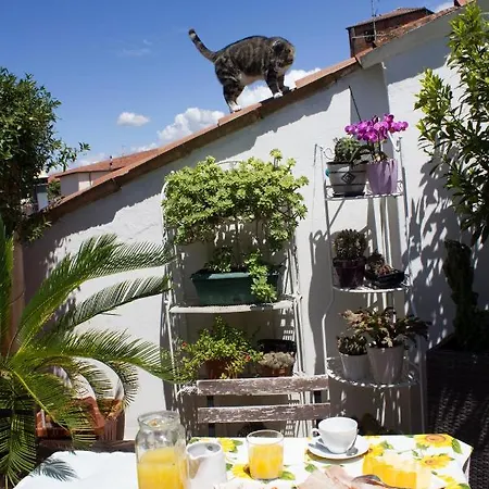 Bed and Breakfast Casanova *