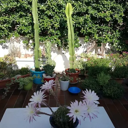 Bed and Breakfast Casanova Βερόνα