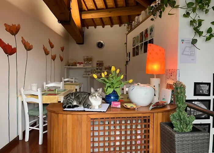 Casanova * Верона