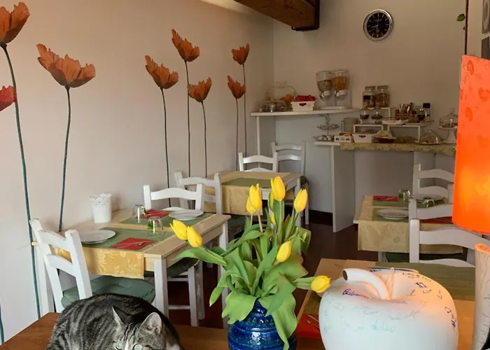 Casanova * Верона