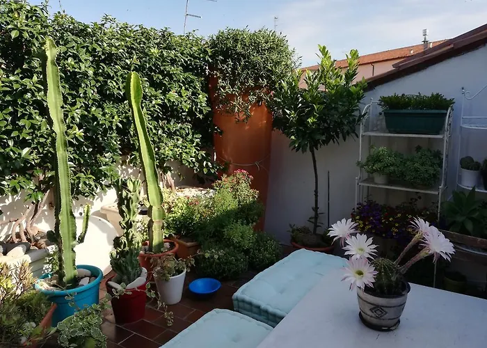 Casanova Отель типа 