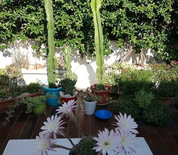 住宿加早餐酒店 卡桑努瓦住宿加早餐酒店 维罗纳