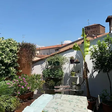 Casanova * ורונה