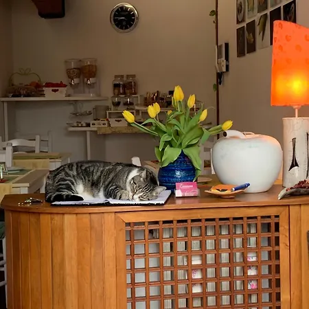 Casanova לינה וארוחת בוקר *