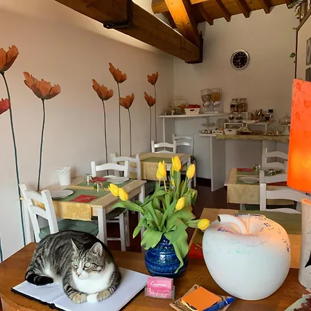 Casanova * ורונה