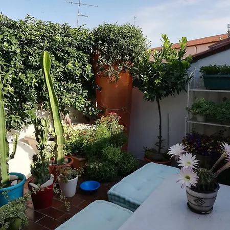 Casanova לינה וארוחת בוקר