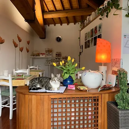 카사노바 * 베로나