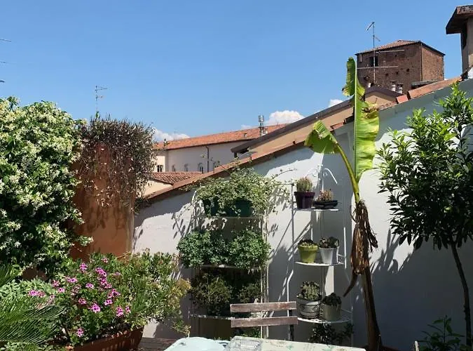 카사노바 * 베로나