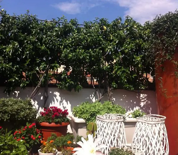 카사노바 베로나